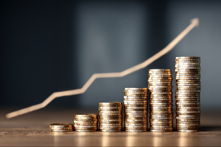 Argent : quelle rentabilité pour la franchise en 2 à 3 ans ?